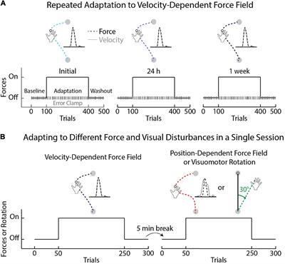 Individual Differences in Sensorimotor Adaptation Are Conserved Over Time and Across Force-Field Tasks